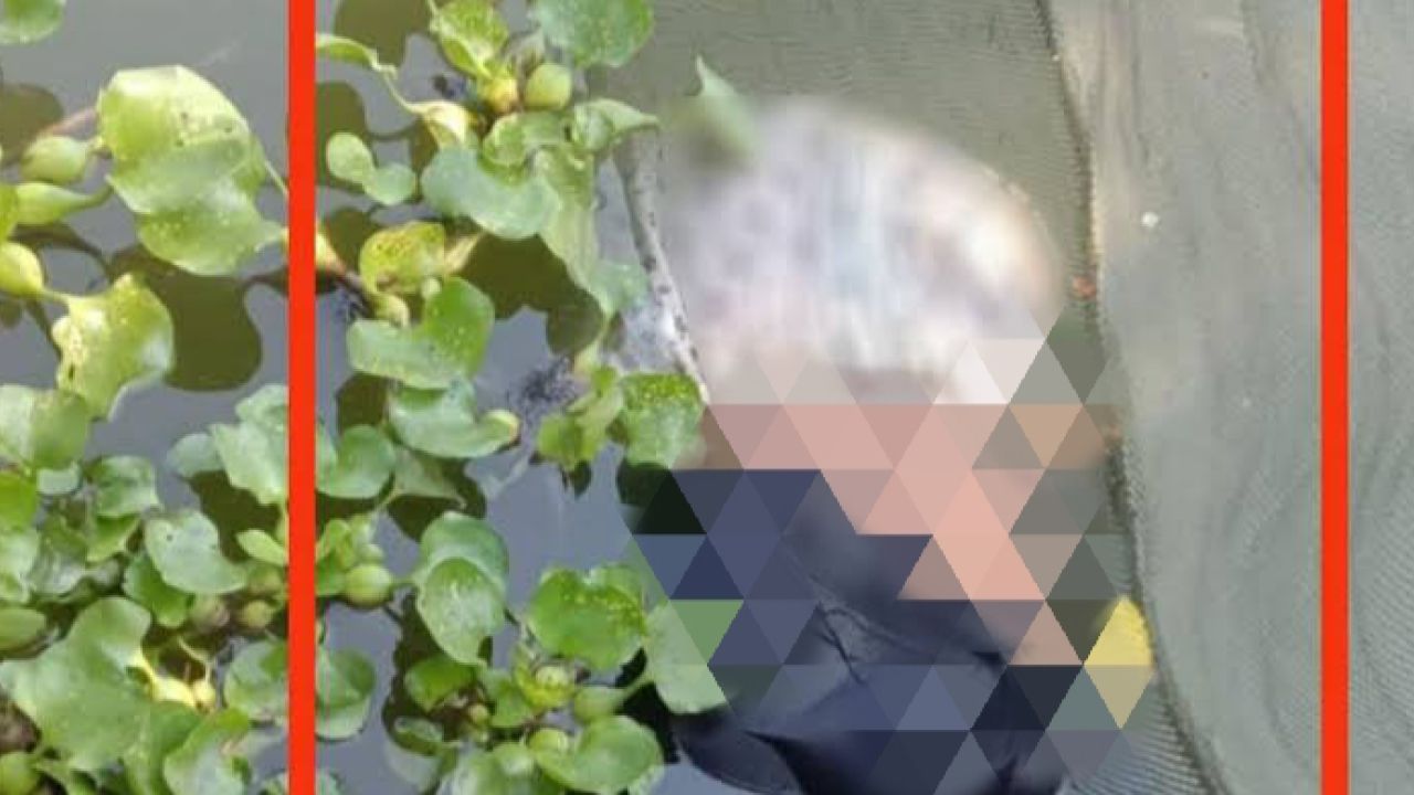 চকরিয়ায় মসজিদের পুকুর থেকে যুবতীর মরদেহ উদ্ধার