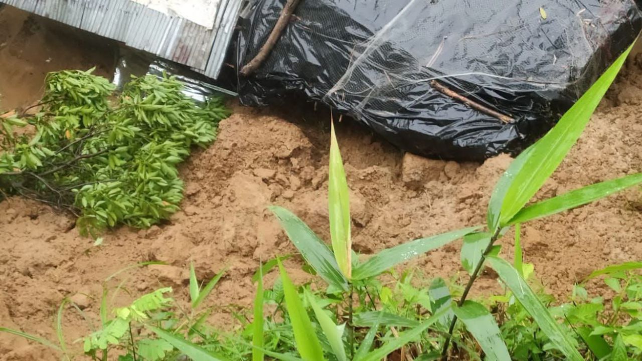লামায় পাহাড়ধসে শিশুসহ ৫ জনের মৃত্যু