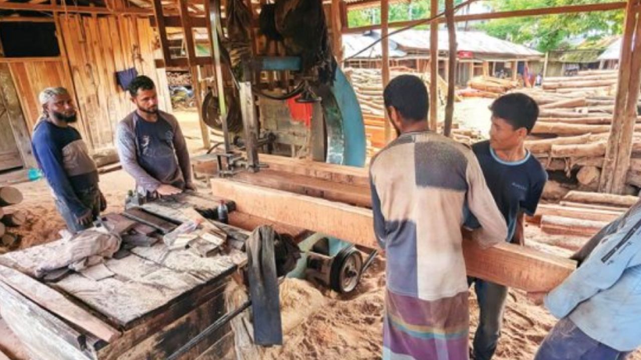 বান্দরবানে ৩৬টি করাতকলই অবৈধ, ঝুঁকিতে সংরক্ষিত বনাঞ্চল ও পরিবেশ
